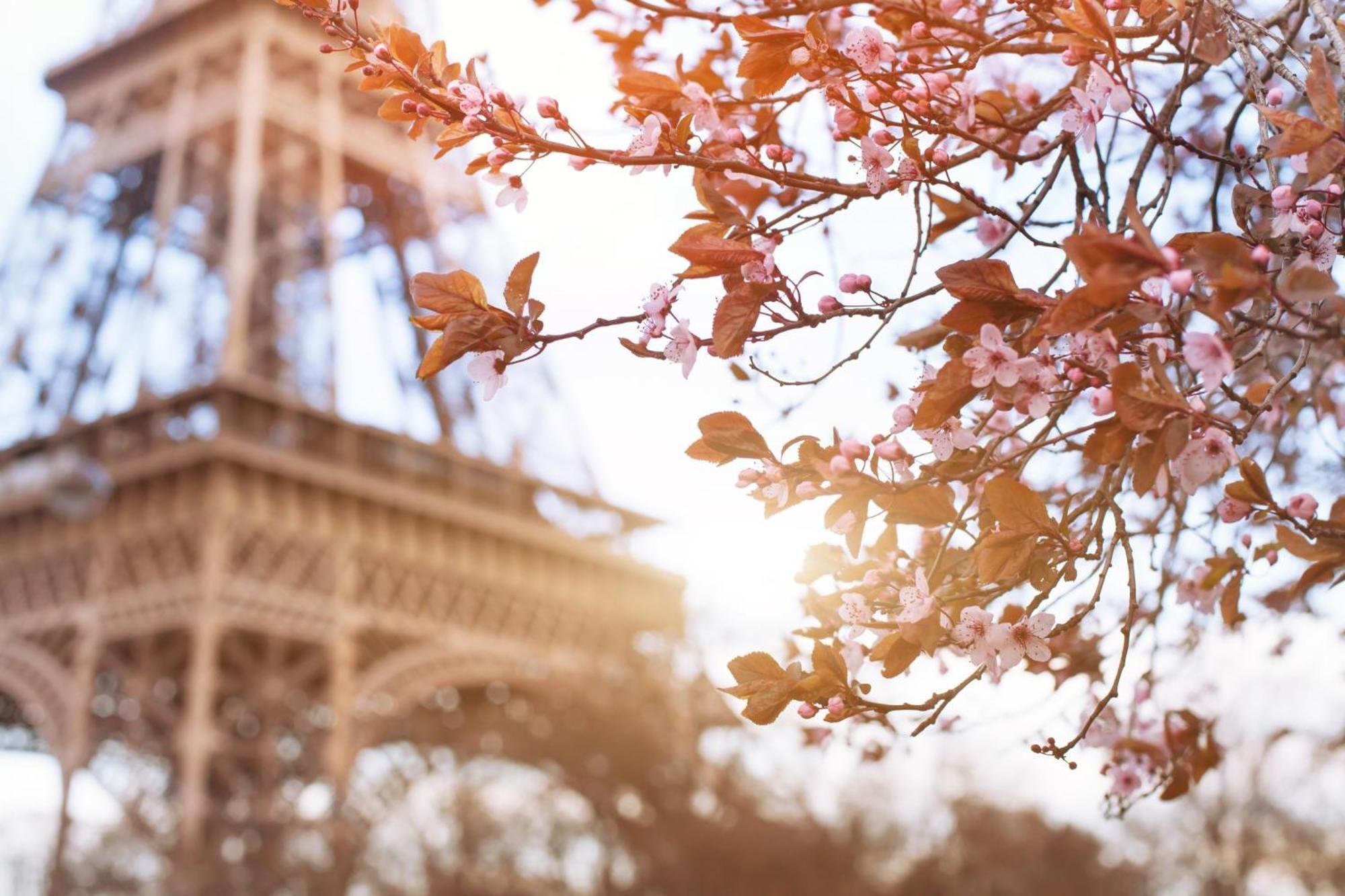 Timhotel Tour Eiffel Parijs Buitenkant foto